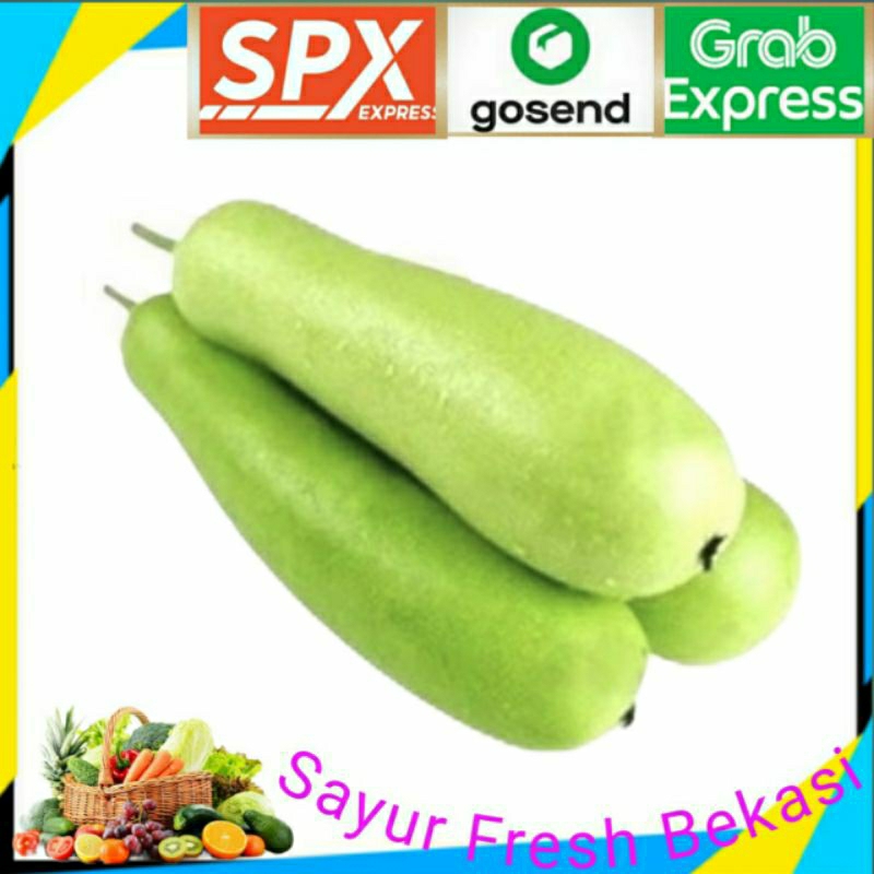 

Labu Air Putih (1pcs).