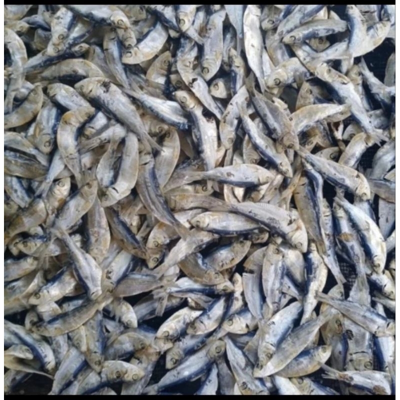 

Ikan Ninis (500 gr)