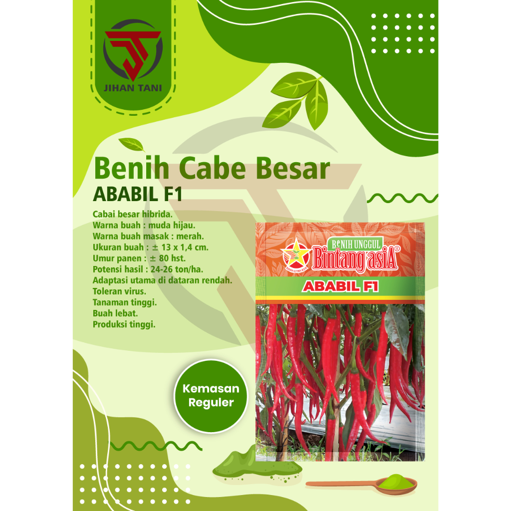 Benih Cabe besar ABABIL 10 gr F1 BINTANG ASIA