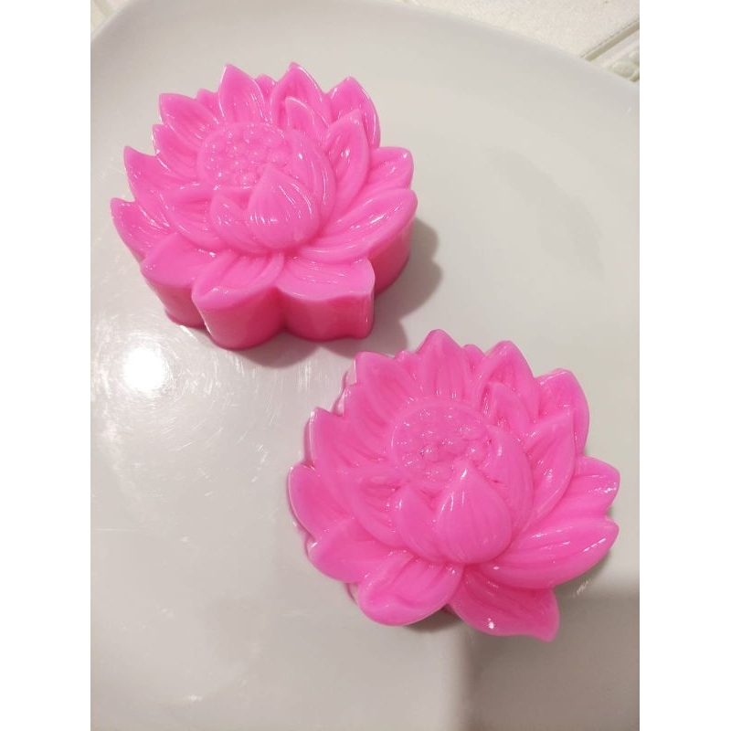 

WAJIB CEK STOCK Dulu ya WAJIB Pengiriman INSTAN PO Puding Santan Teratai Tanpa Pengawet dalam isi Longan