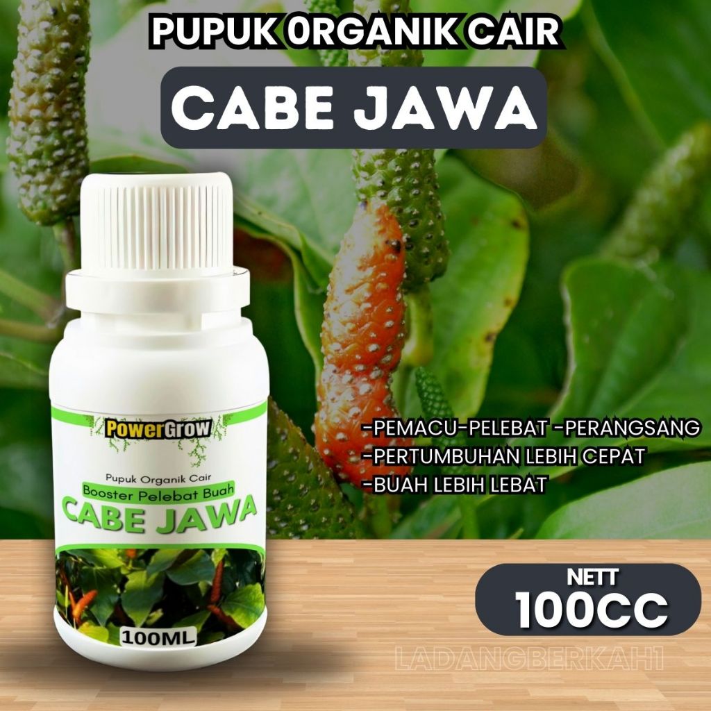 Pupuk Cabe Jawa Cabe Puyang Cepat Berbuah Lebat Booster Cabe Jawa Penyubur Pelebat Tanaman