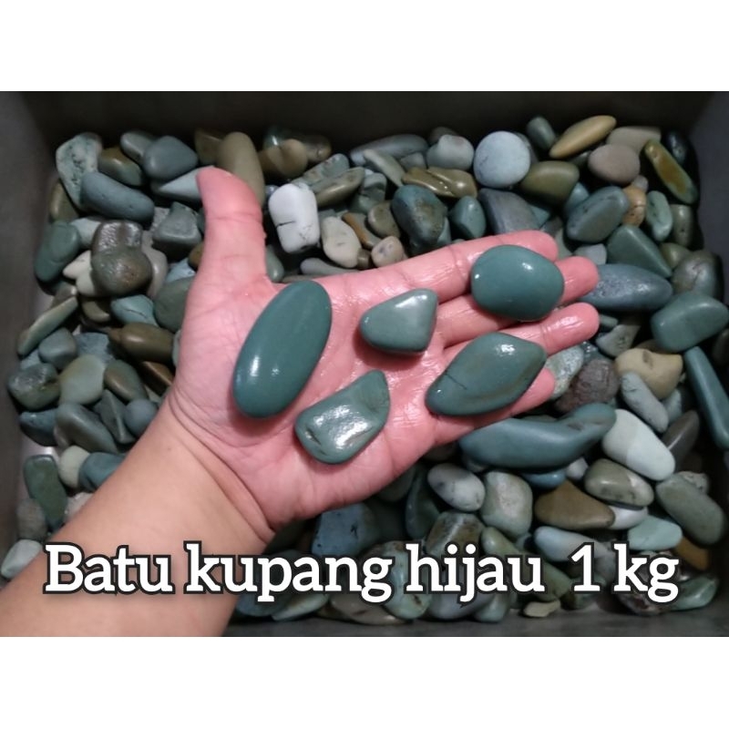 Batu Kupang Hijau 1kg / Batu Koral Aquarium