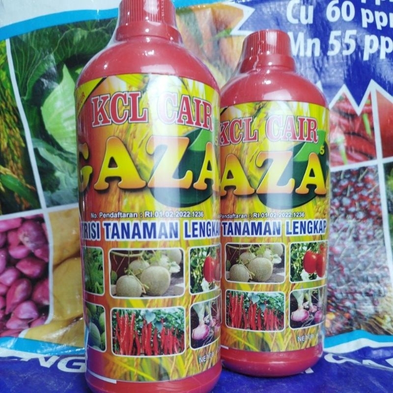 Kcl Cair GAZA 1LITER memperbanyak bunga dan bobot tanaman