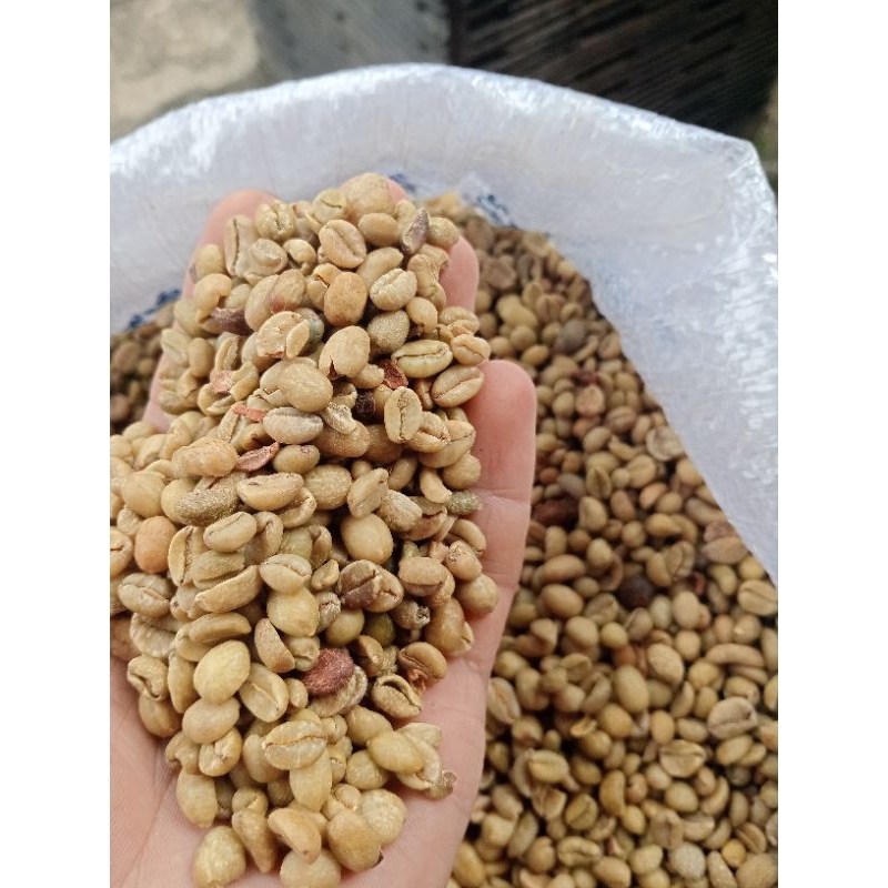 

GreenBean biji kopi exselsa