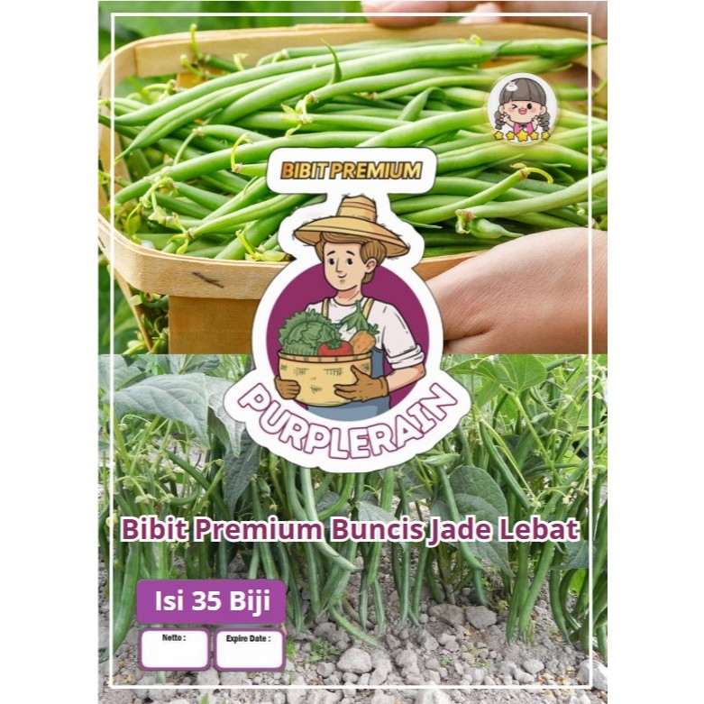 Bibit Premium Buncis Jade Lebat | Biji Bibit Buncis Lebat