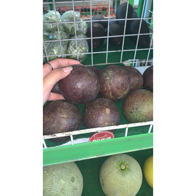 

PROMO ALPUKAT MENTEGA