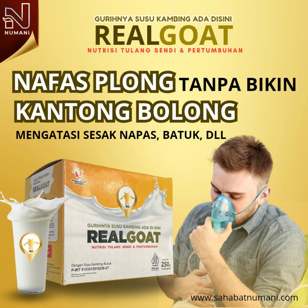 

Susu Kambing Untuk Atasi Masalah Pernafasan, Kesehatan Paru-Paru dan Asma - REALGOAT | NUMANI MALL