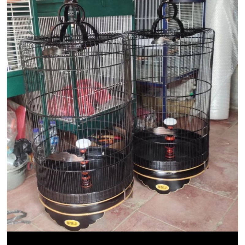 sangkar burung branjangan sanma pailing dll solo halus terlaris