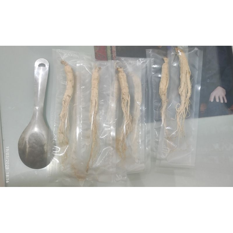 

Herbal Ginseng Buat Rendaman Perbatang