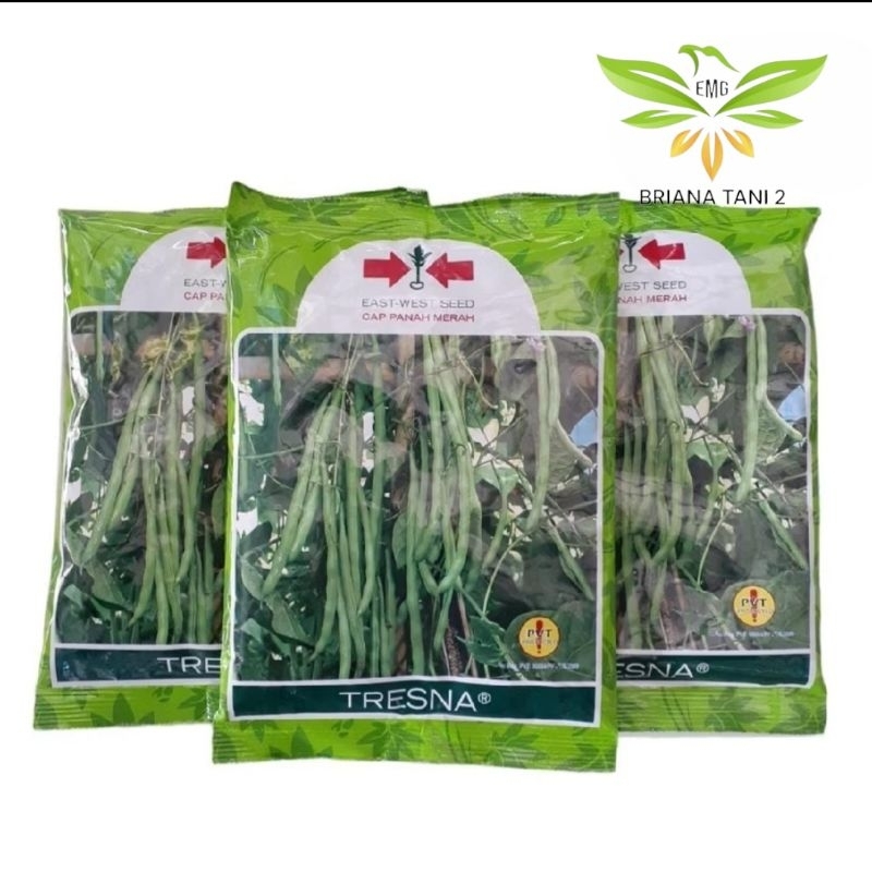 

Tresna 500 gr Benih Buncis Panah Merah Tewe