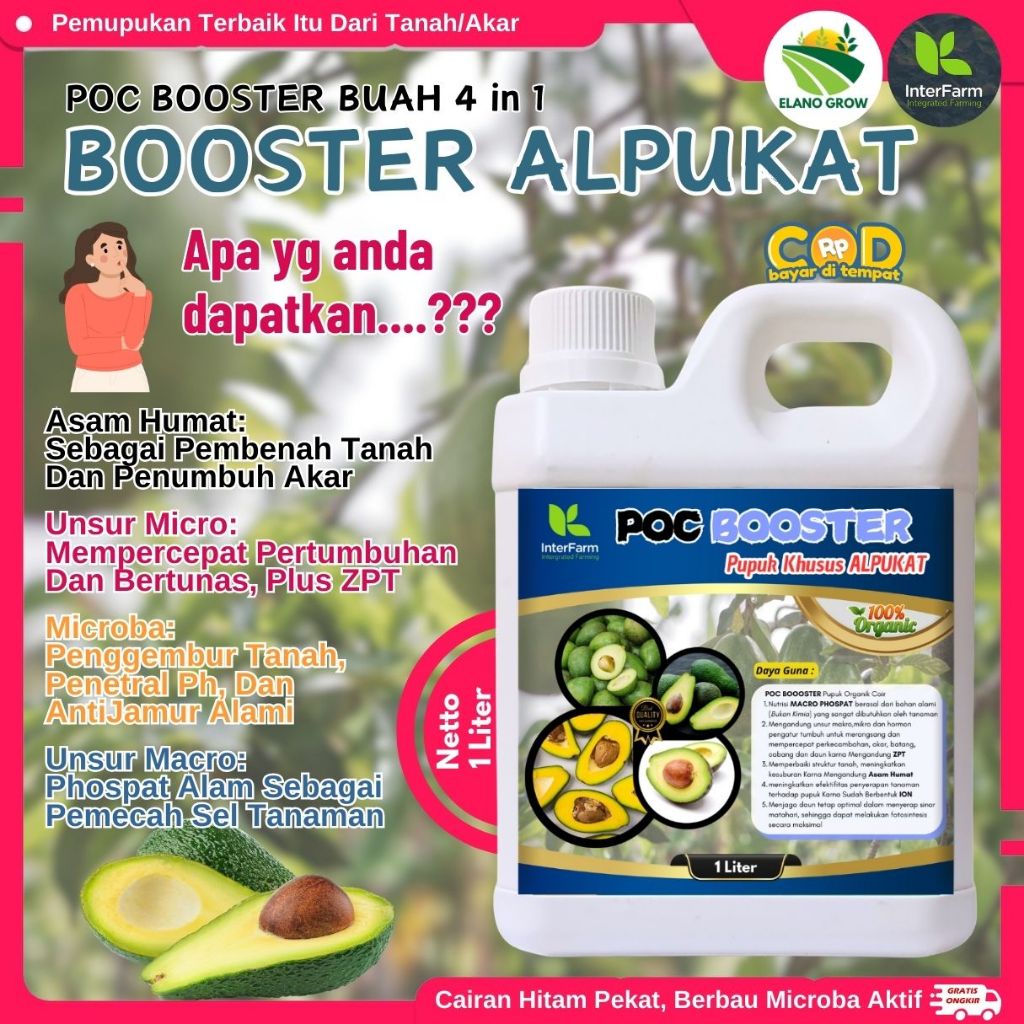 Pupuk Pelebat Buah Alpukat , Pupuk Buah Tanaman Alpukat, Pupuk Cair Organik Untuk Alpukat ELANOGROW