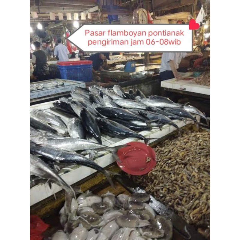

Ikan segar fresh pasar flamboyan/ ikan hidup segar pasar pagi