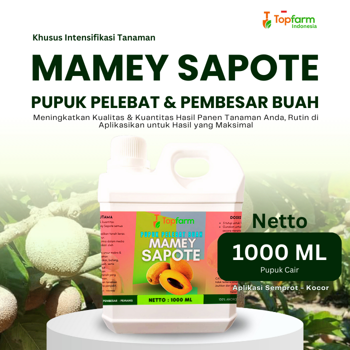 Pupuk Pembesar Buah Mamey Sapote / Pupuk Khusus Pohon Mamey Sapote / Pupuk Pelebat Buah / Pupuk Mame