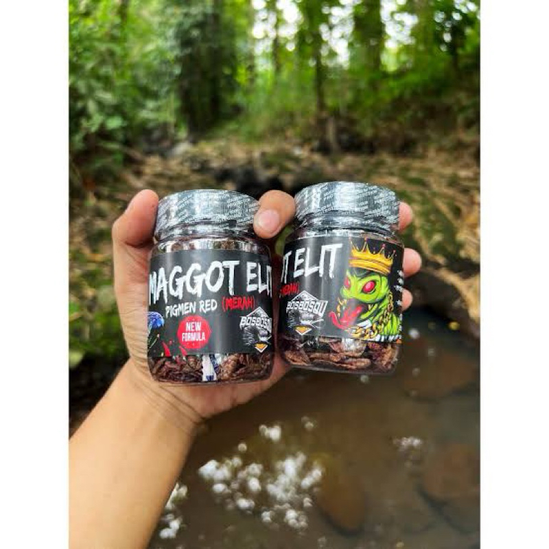 MAGGOT ELIT BOSBOSQU BOS BOS QU ORIGINAL