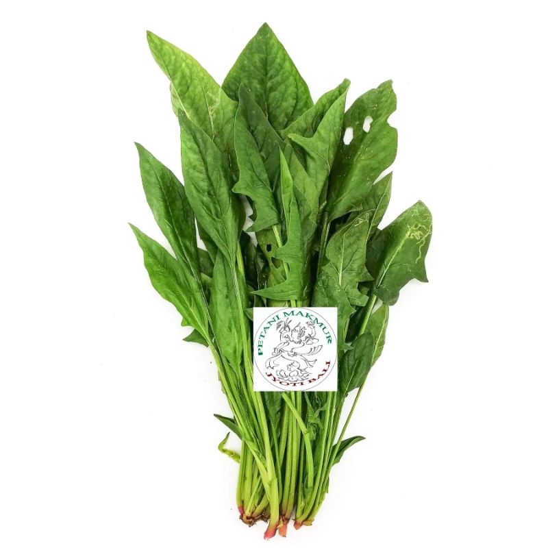 

JYOTI BAYAM INGGRIS SPINACH 250 GR
