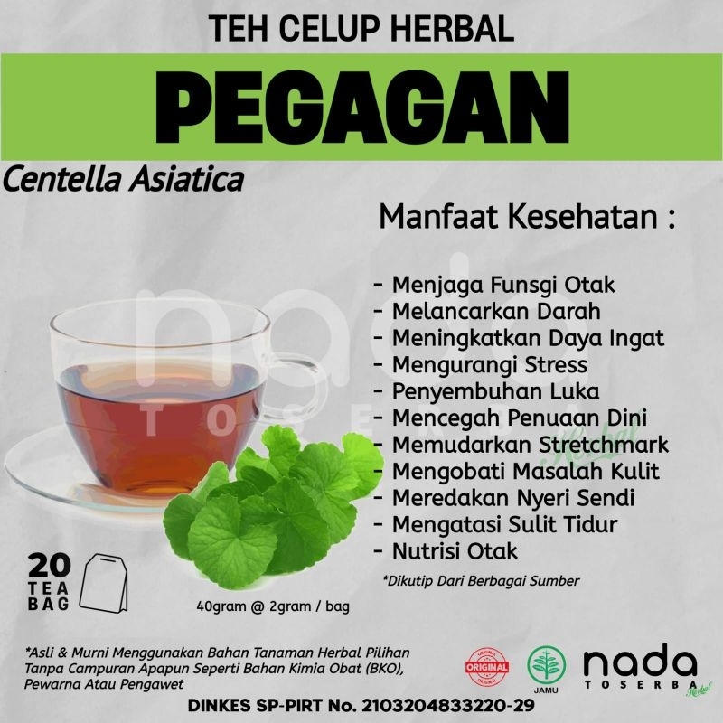 

Teh Celup Herbal PEGAGAN Isi 20 Tea Bag | Stroke & Nutrisi Otak | Centella Asiatica
