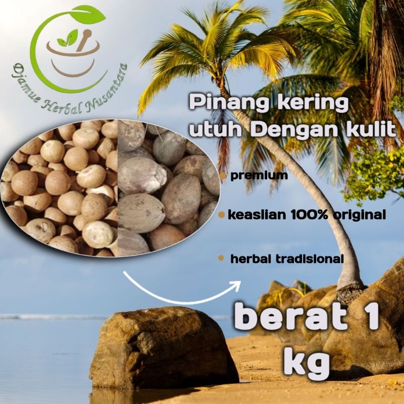 

stamina kuat pria buah pinang kering 1kg dengan kulitnya kualitas premium original