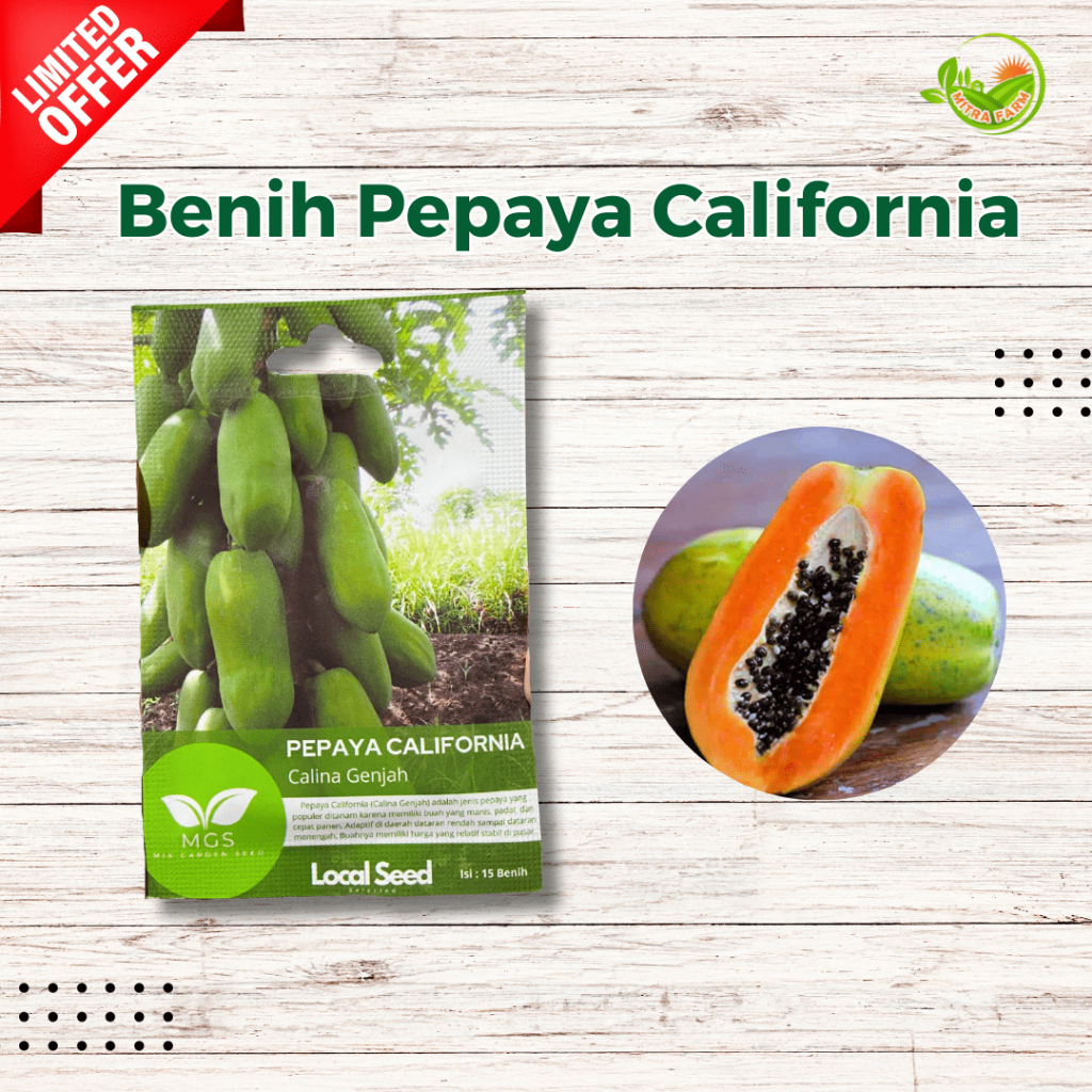 Benih Pepaya California-Benih Pepaya California Murah-Benih Pepaya California Calina Genjah