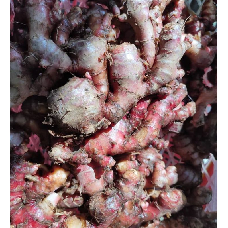 

jahe merah segar fres (paket grosir)/size 20 kg/10 kg