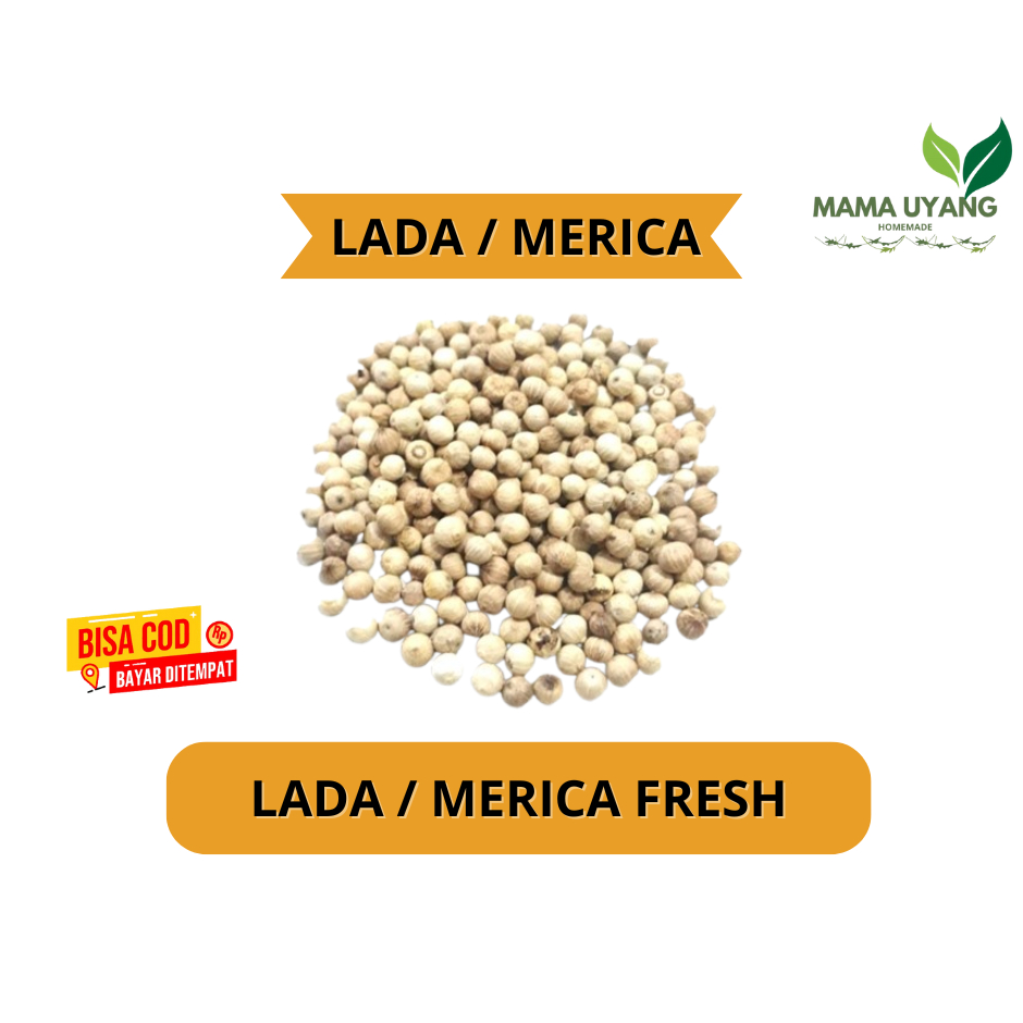 

LADA / MERICA PUTIH BIJI UTUH