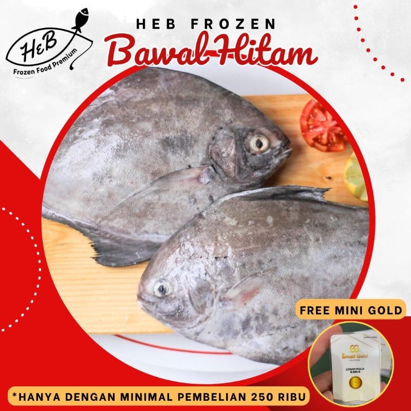 

Ikan Bawal Hitam / Bawal Laut Fresh Frozen Beku @1Kg