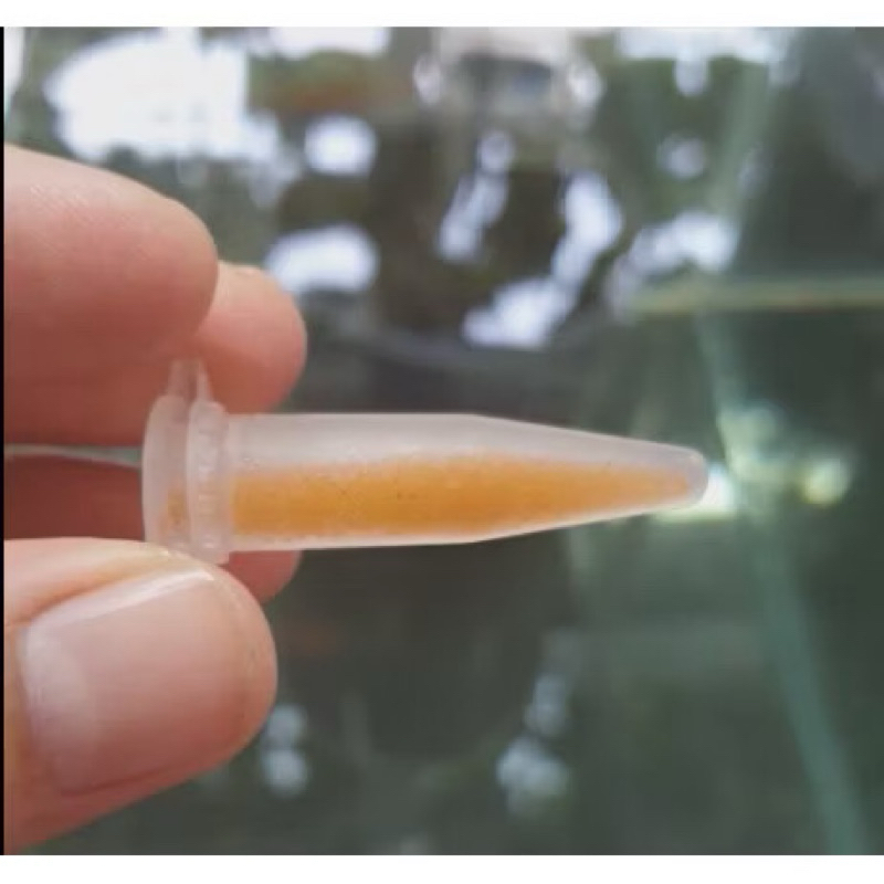 Tabung Penyimpanan Artemia Hidup 1.5ml Tabung Kultur Artemia