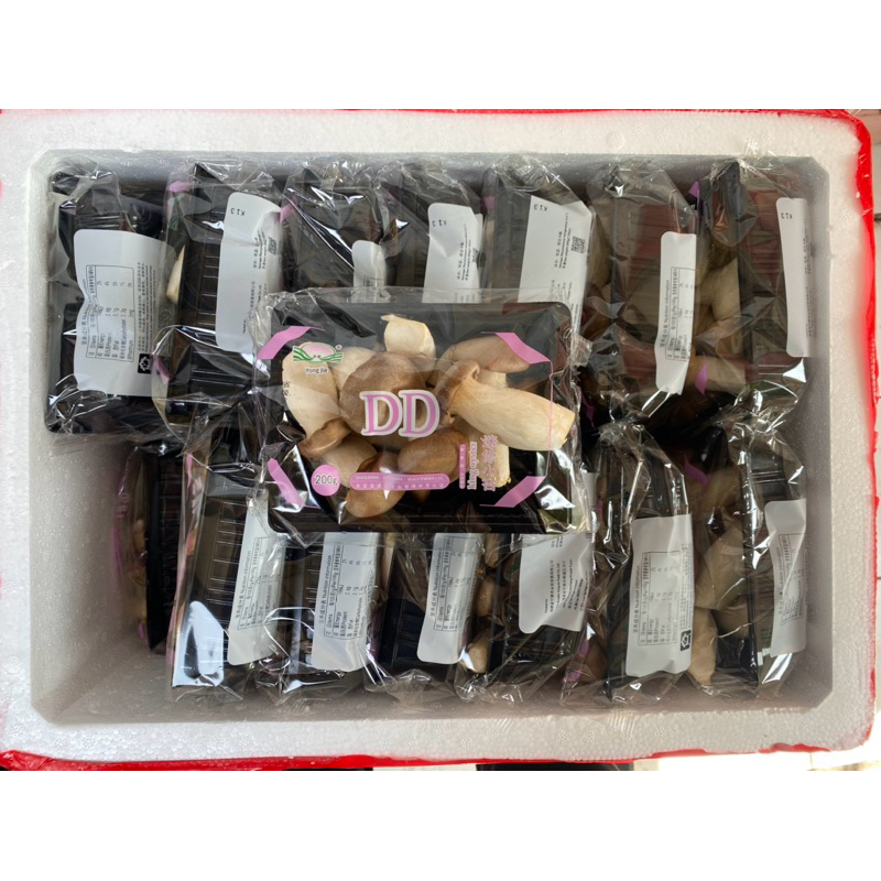 

jamur mini king Oyster 1 box fresh import