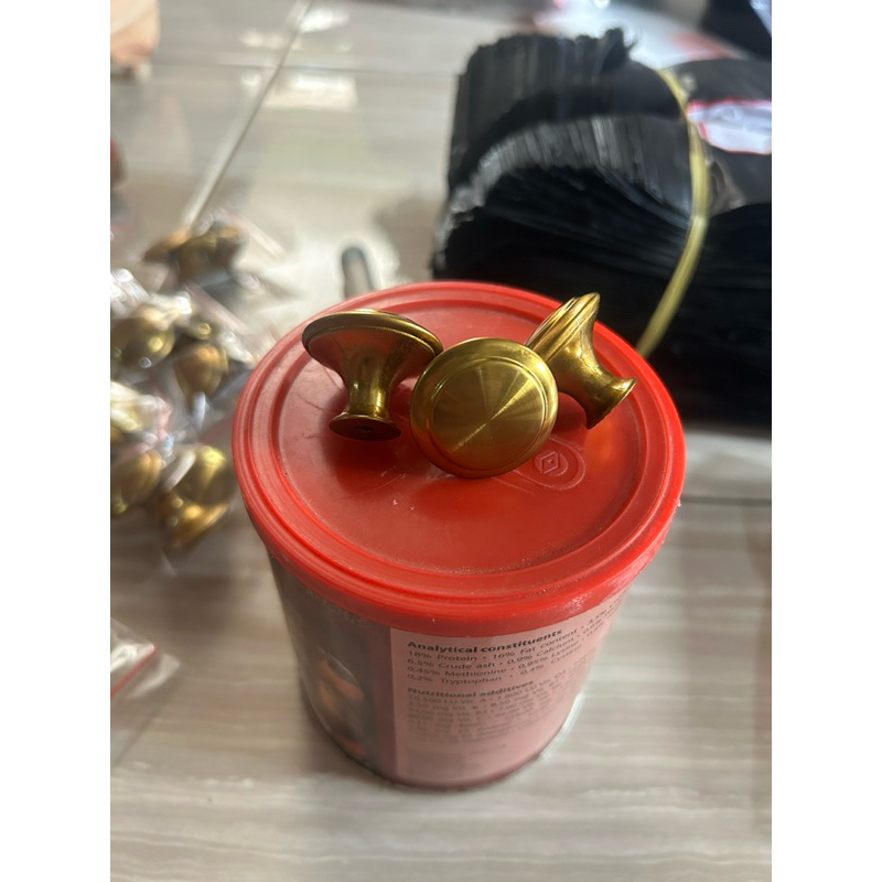 kaki tebok kuningan kaki tebok hellopet