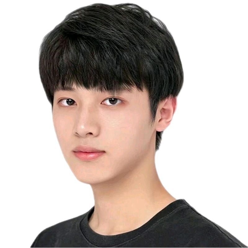 WIG COWO/RAMBUT PALSU LAKI LAKI/MODEL KOREA/WIG RAMBUT PALSU PENDEK