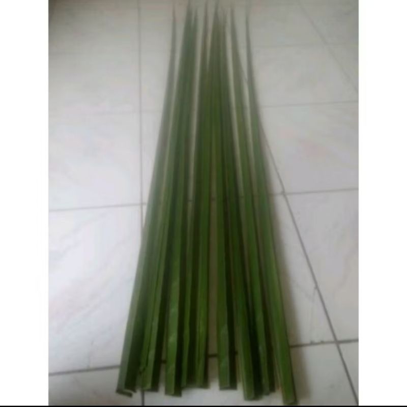 

jual daun kelapa hijau janur/30pcs