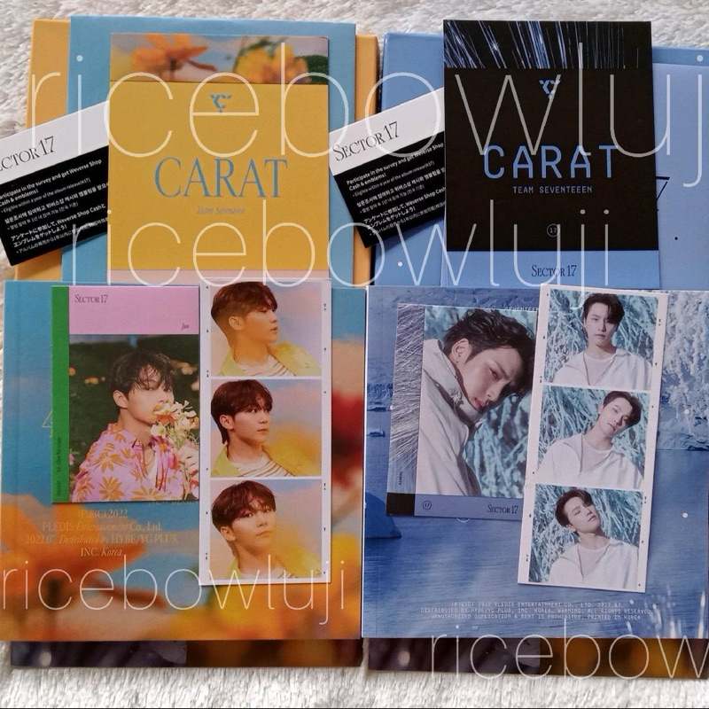 ALBUM ONLY SECTOR 17