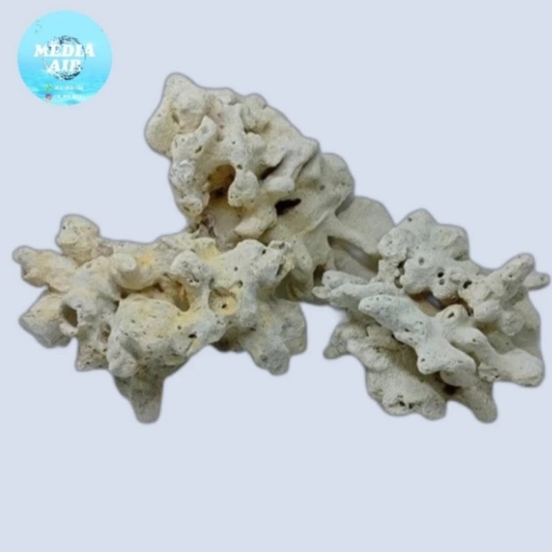 batu karang laut dead rock hiasan aquarium aquascape 10kg