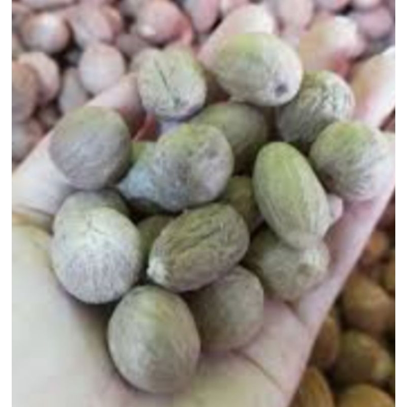 

BIJI PALA KUPAS SUPER RP 34.000 / 250 GRAM