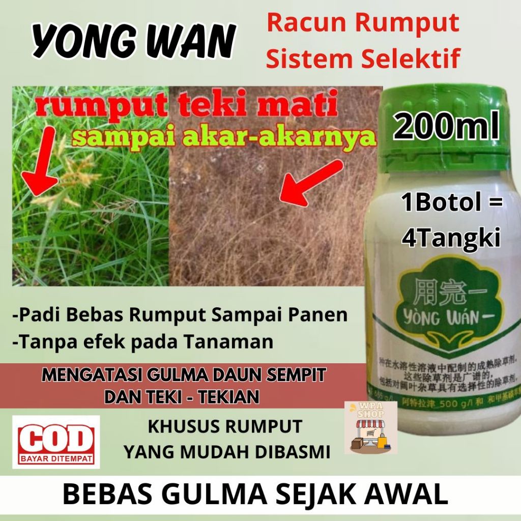 Herbisida Sistemik Selektif Yong Wan yongwan Ampuh Basmi Gulma dan aman untuk Tanaman Padi Jagung Ka