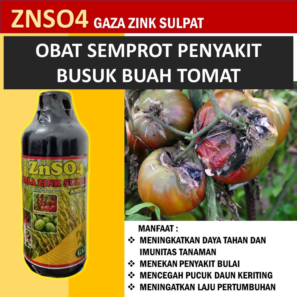 pupuk  semprot hama penyakit busuk buah tomat 500 ml -ZnSO₄ dalam Mengendalikan Penyakit Busuk Buah 