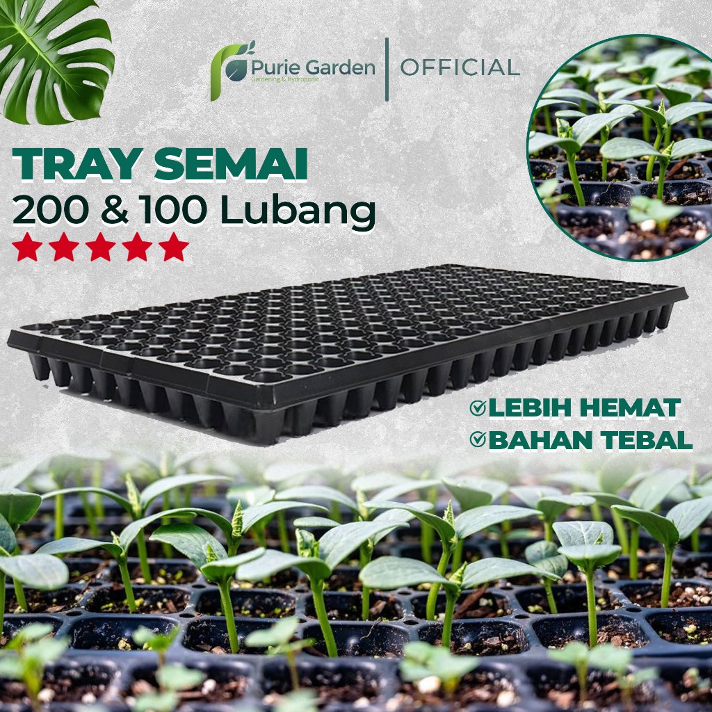 Tray Semai Pot Tray Penyemaian Bibit Tanaman 200 & 100 Lubang PG SBY