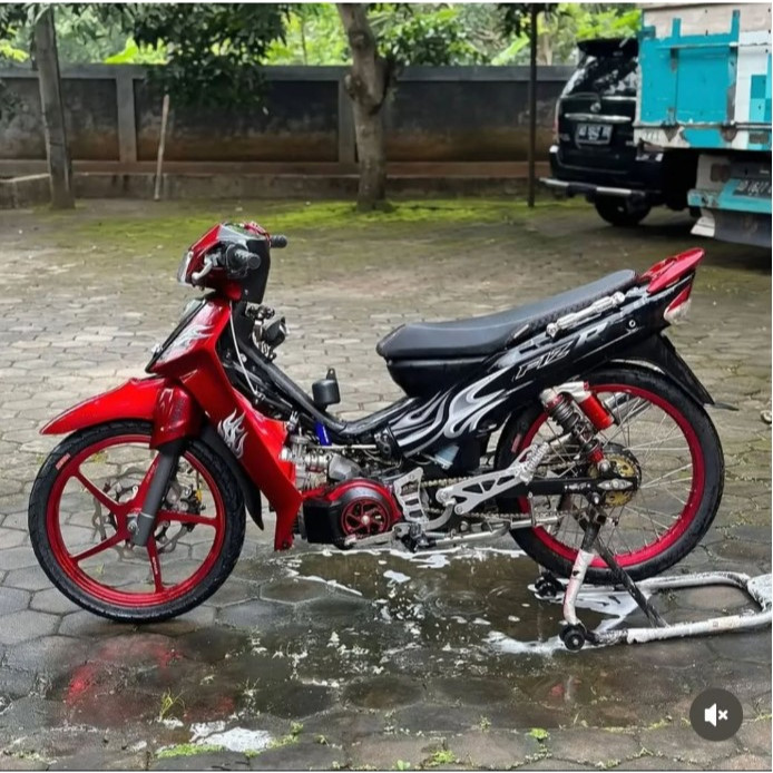 STRIPING FIZ R CUSTOM API NEW