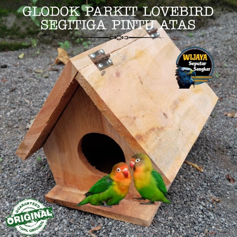 Glodok lovebird parkit rumah parkit pintu atas lovebird terbaru