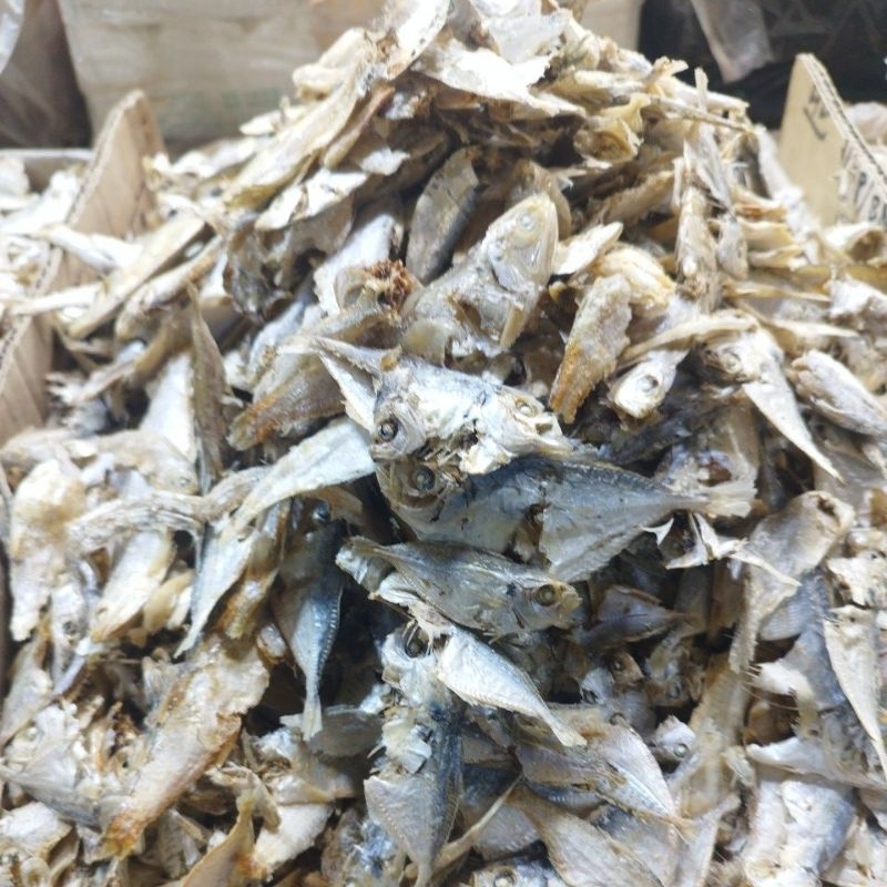 

Ikan Sampah Campur 250gram