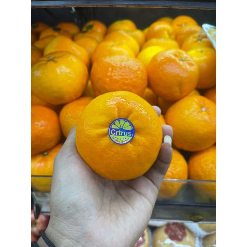 

Jeruk wokam crtrus honey sweet fresh 1kg