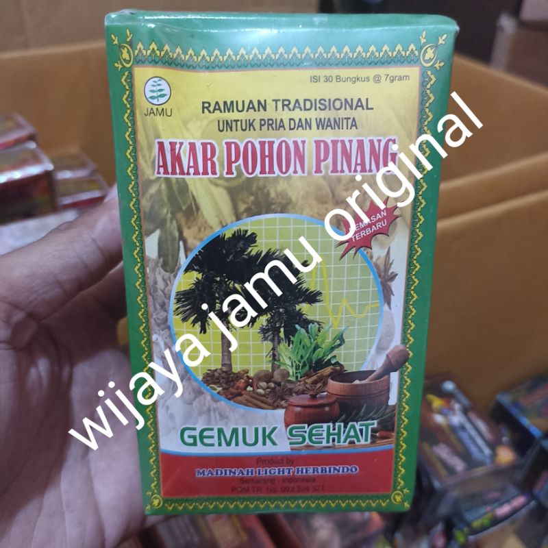 

gemuk sehat akar pohon pinang 30 shacet