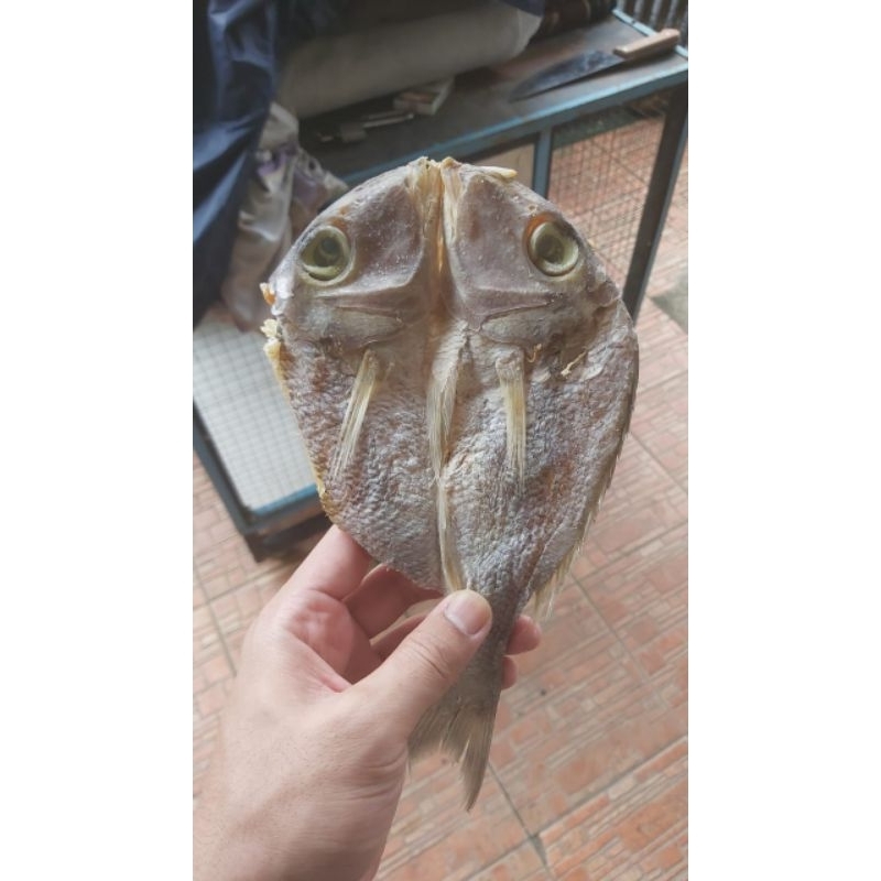 

Ikan Asin Katamba 500gr