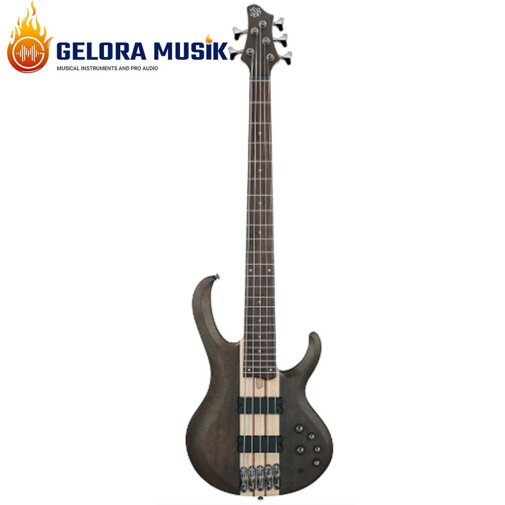 Gitar Elektrik Ibanez BTB605-TGF