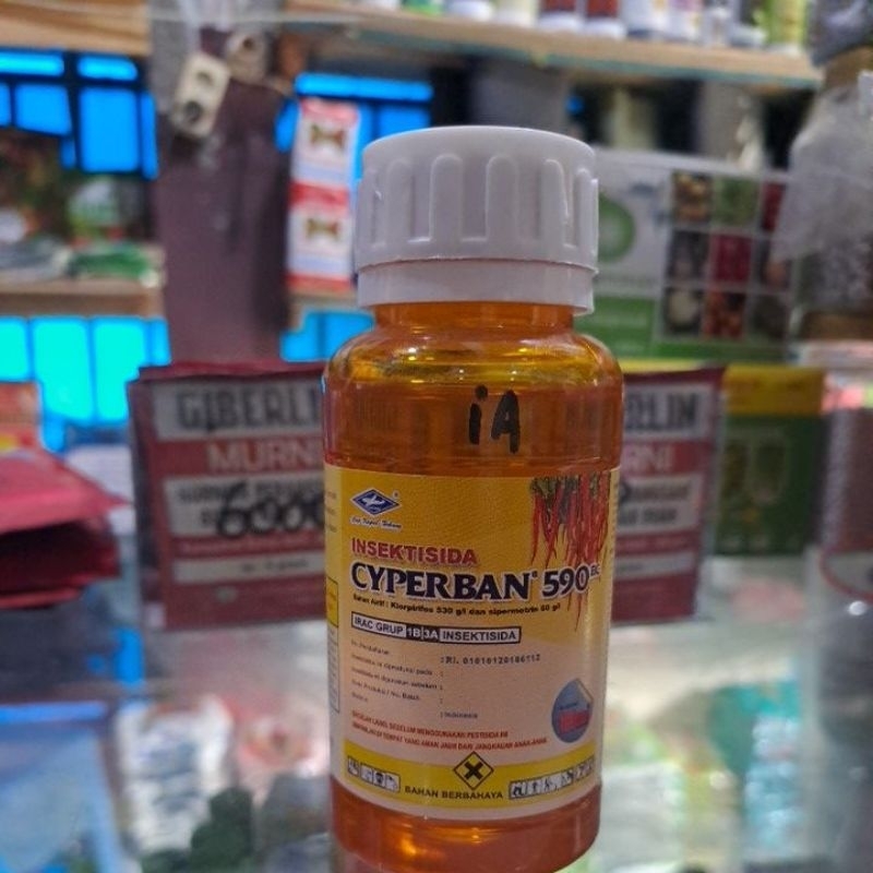 Insektisida Cyperban 590EC/Starban