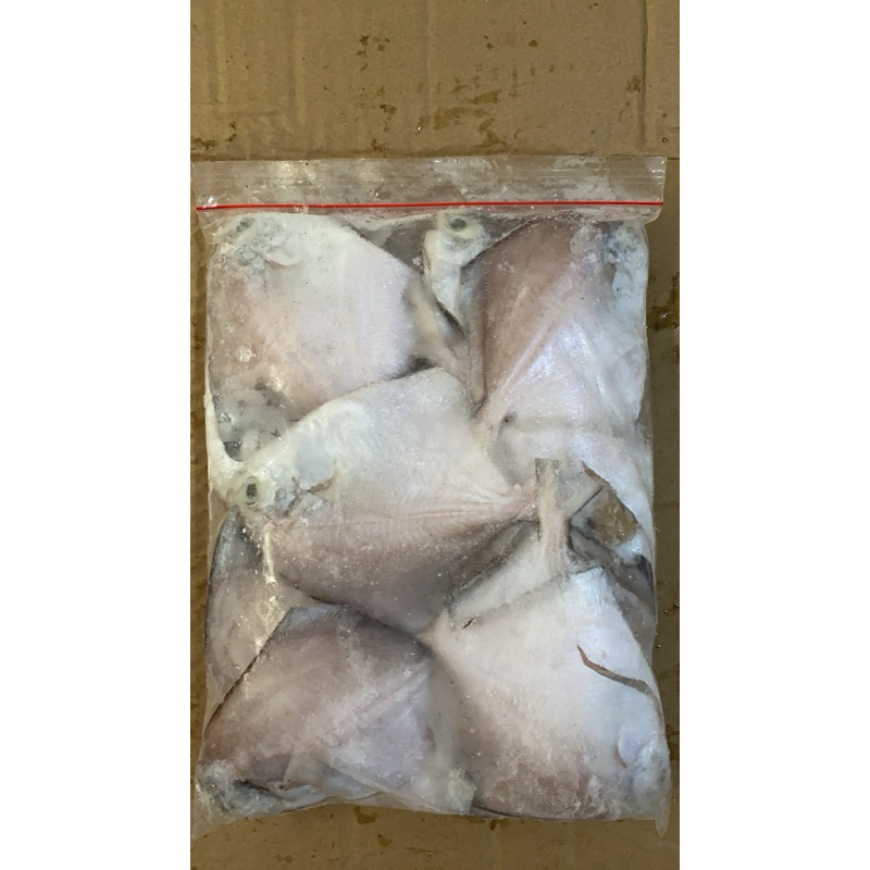 

bawal mini panipahan / ciu a liap