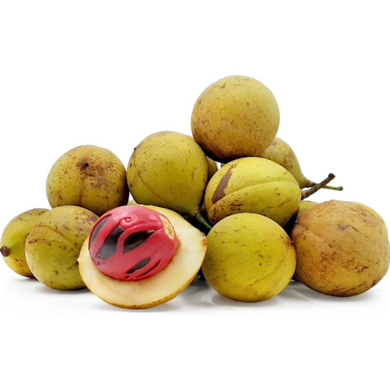 

Buah Pala Daging Segar 1KG – Cocok untuk Manisan & Olahan Herbal