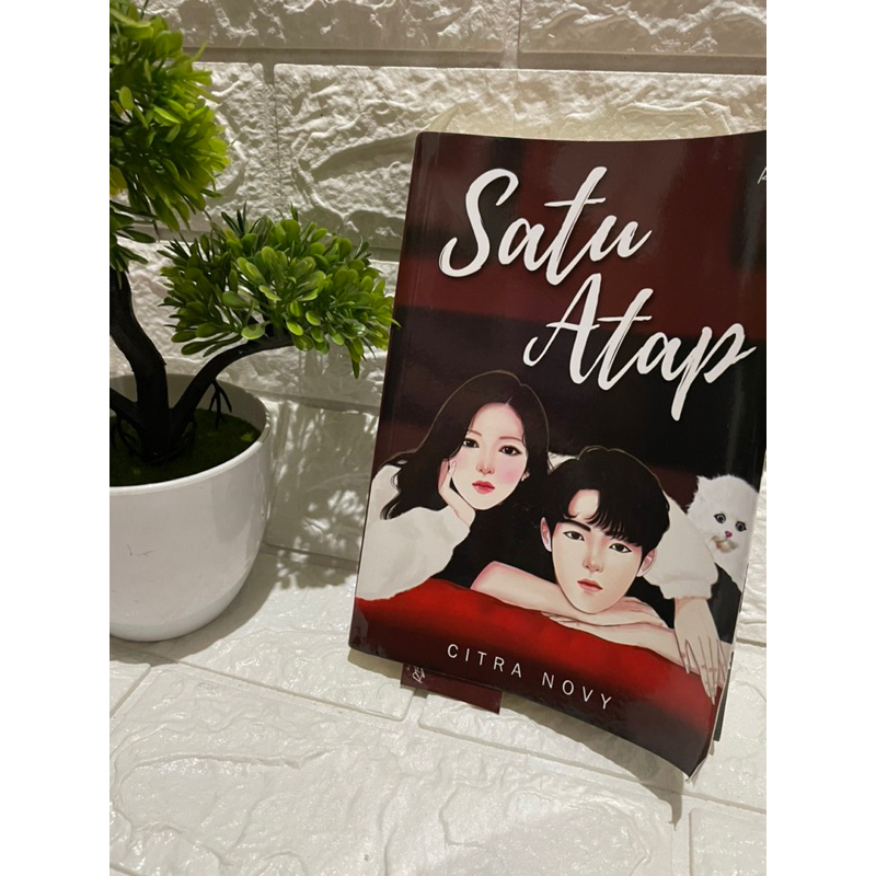 Novel Satu Atap (preloveori)