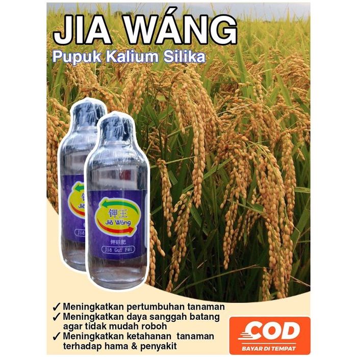 JiaWang - Rajanya Pupuk Kalium dan Silika Murni untuk Menambah Bobot Buah dan Anakan Padi