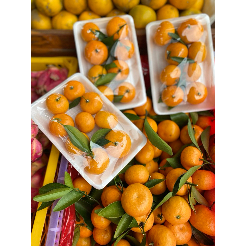 

Jeruk Santang Tangerin