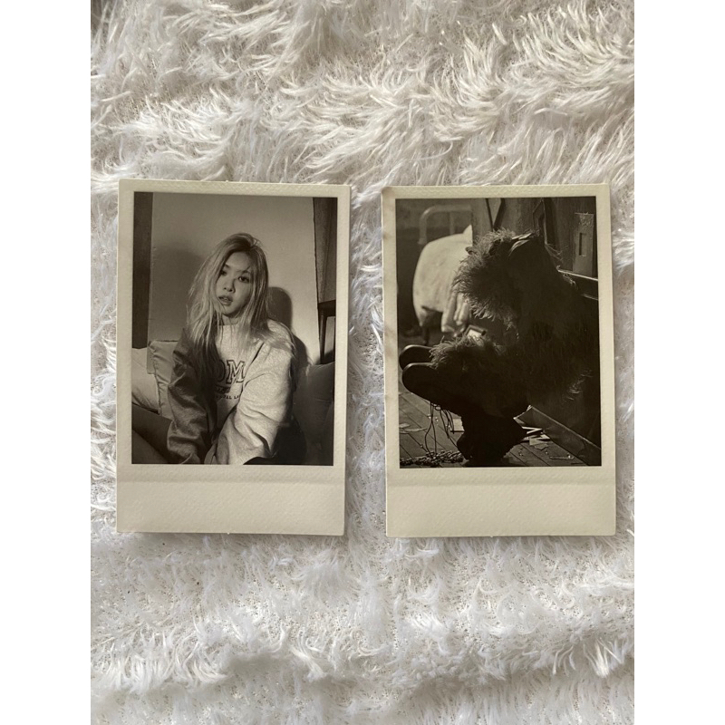 photocard polaroid rose’ blackpink official